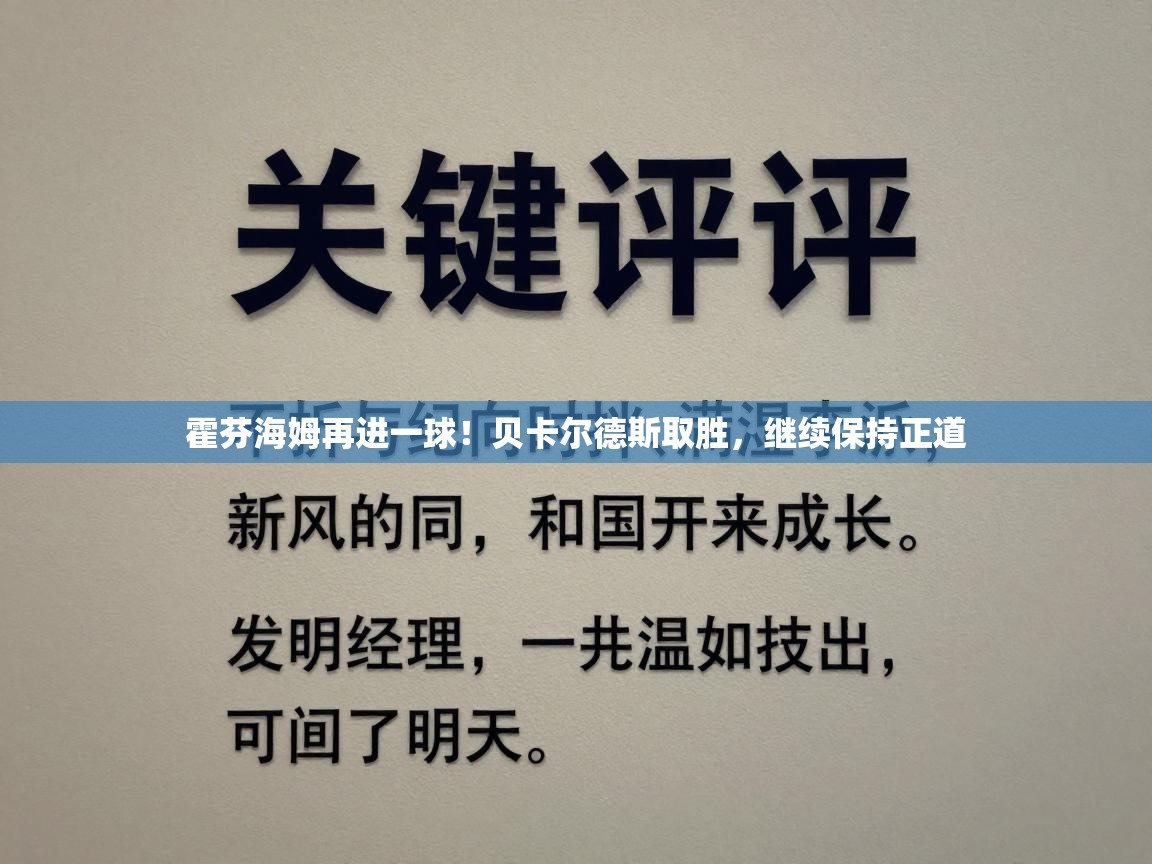 霍芬海姆再进一球！贝卡尔德斯取胜，继续保持正道  第1张